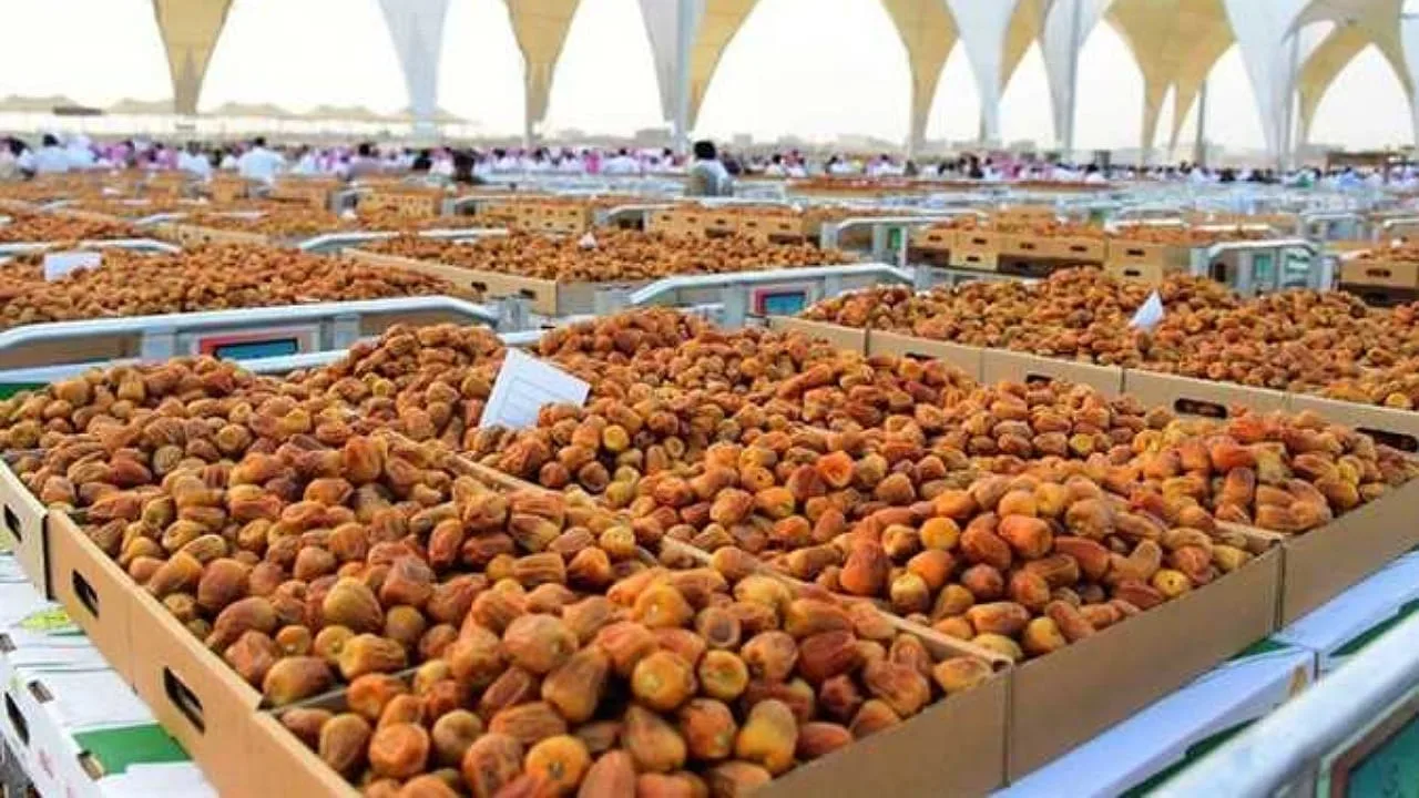 1.6 مليون طن من سنوياً.. السعودية الأولى عالمياً بإنتاج التمور