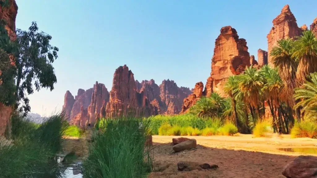 مواقع مميزة لمشاهدة غروب الشمس في السعودية