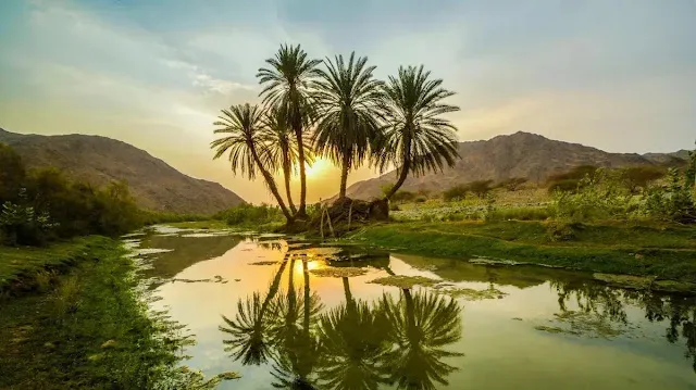 10 حقائق مذهلة عن السعودية - صورة 3