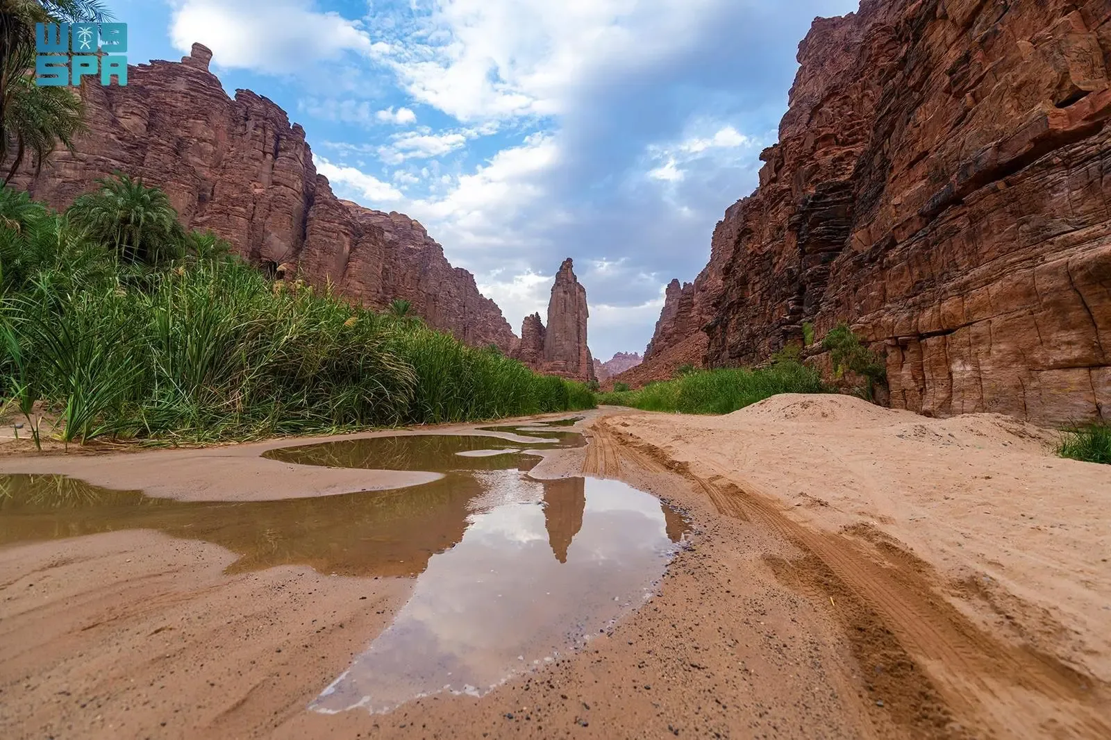 تعرف على أفكار رائعة للإقامة في السعودية - صورة 3