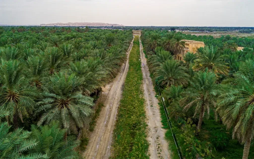 ٦ مواقع التراث العالمي لليونسكو في المملكة العربية السعودية - صورة 5