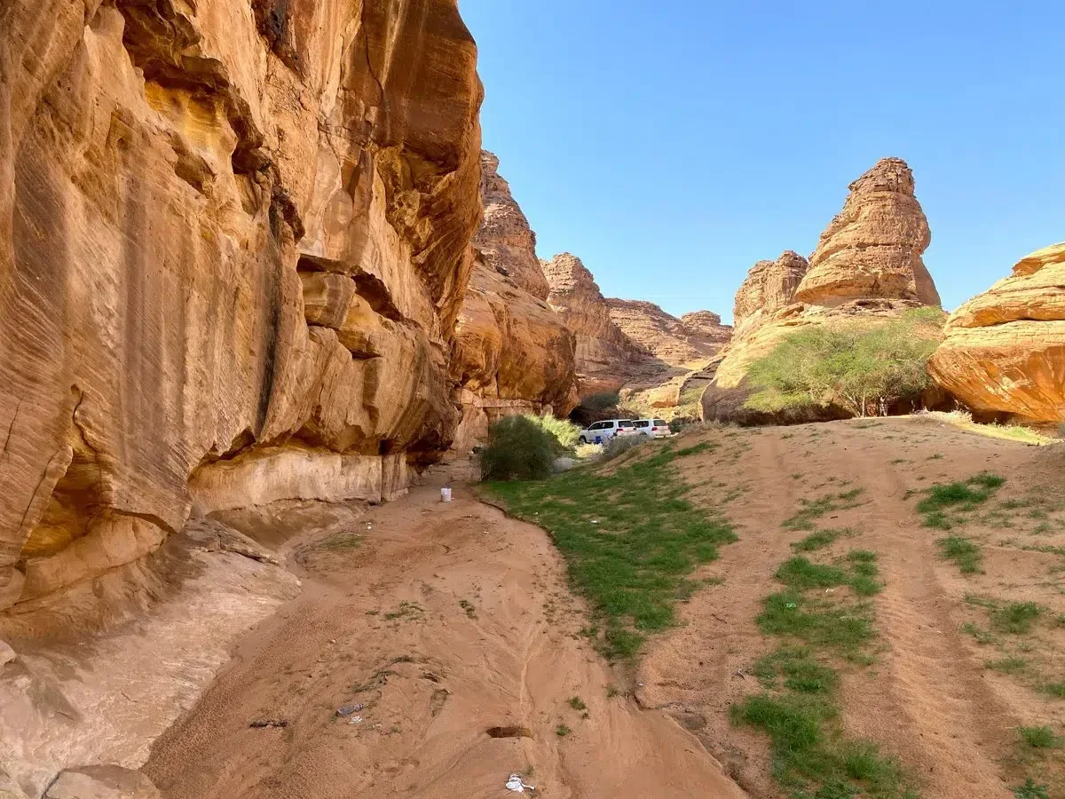 محميات ومنتجعات طبيعية يجب زيارتها في السعودية - صورة 3