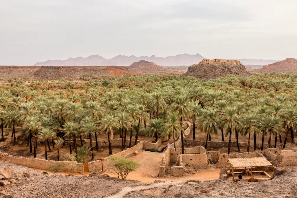 أفضل المناطق السياحية في السعودية - صورة 2