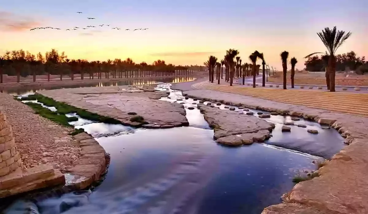 أرخص أنشطة عائلية في الرياض - صورة 2