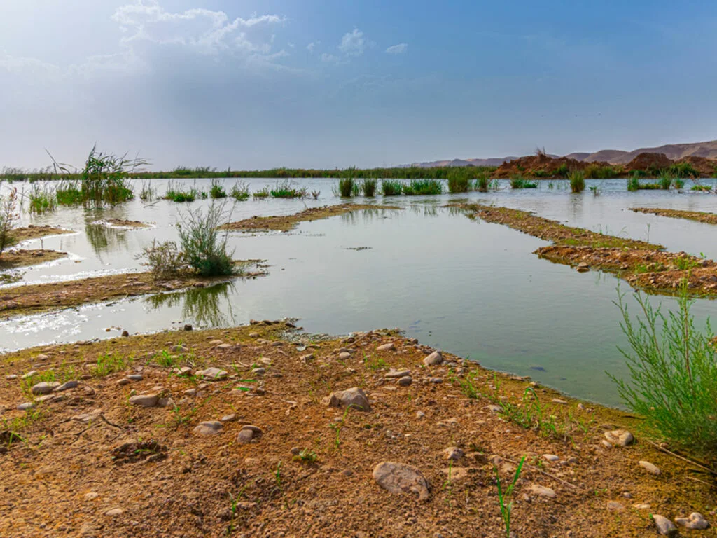 تعرف على أجمل حدائق الرياض - صورة 2