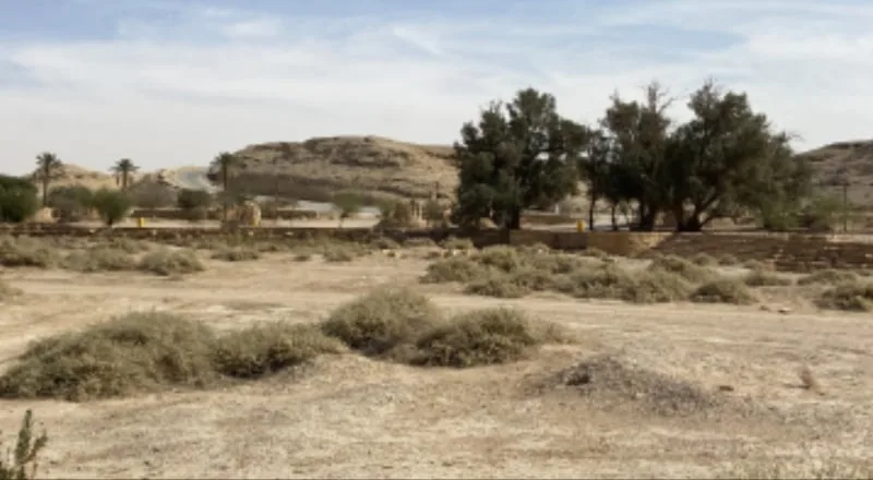 تعرف على المشاريع العملاقة القادمة إلى الرياض - صورة 2
