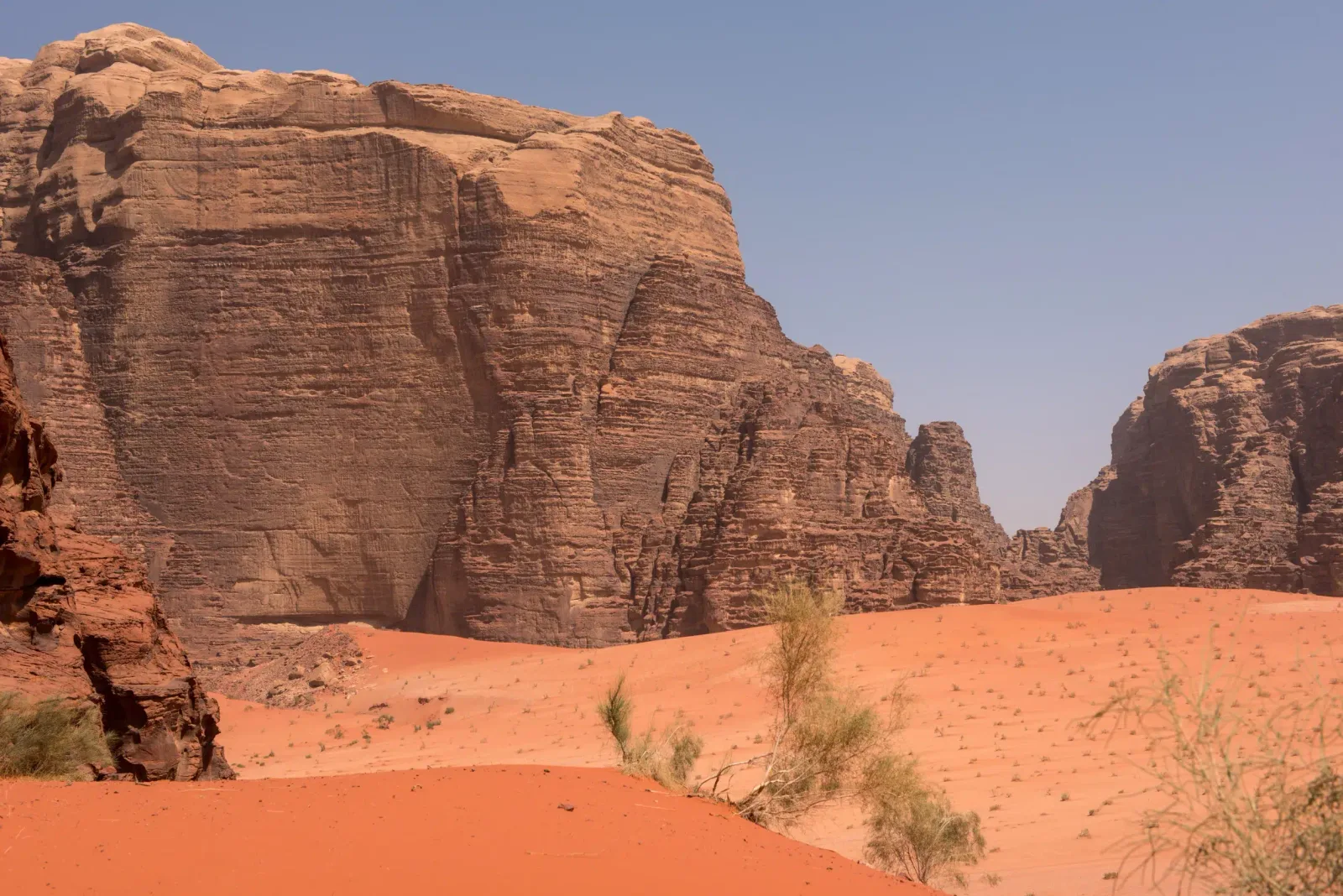 أفضل الوجهات التي يجب زيارتها في السعودية لعام 2024 - صورة 4