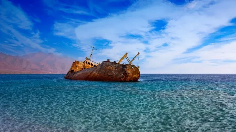 تعرف على أفضل الأماكن للزيارة في تبوك التي لا بد من زيارتها