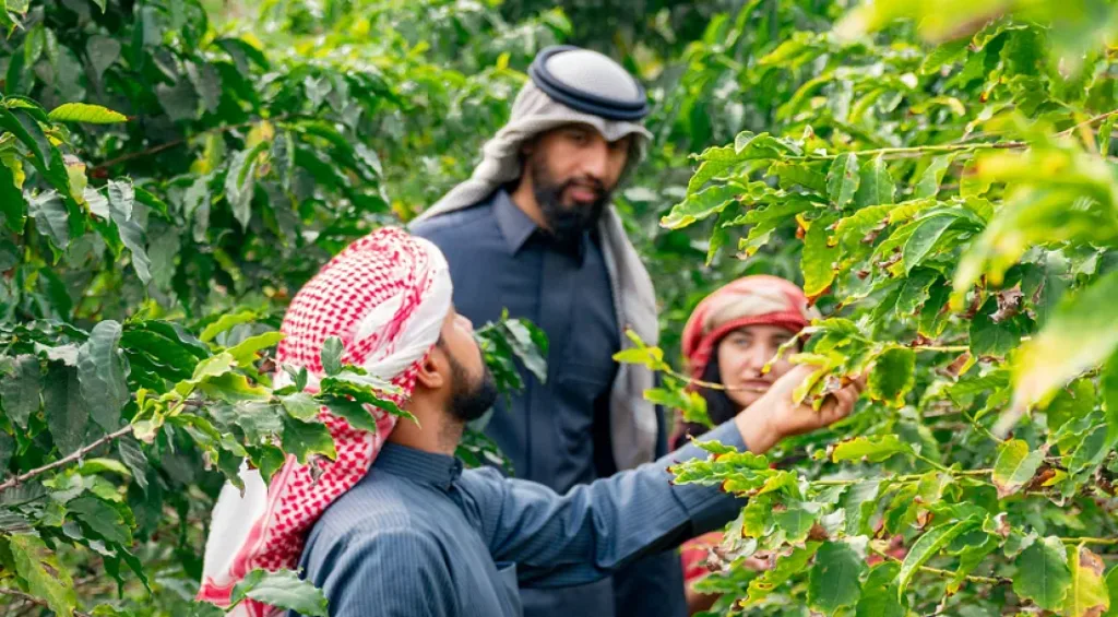 مدينة القهوة المنتظرة تتشكل في الباحة - صورة 6