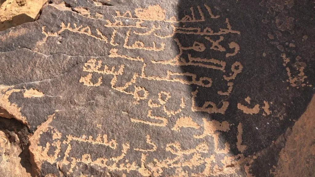 تجارب لا تُنسى يجب عليك تجربتها في الطائف - صورة 4