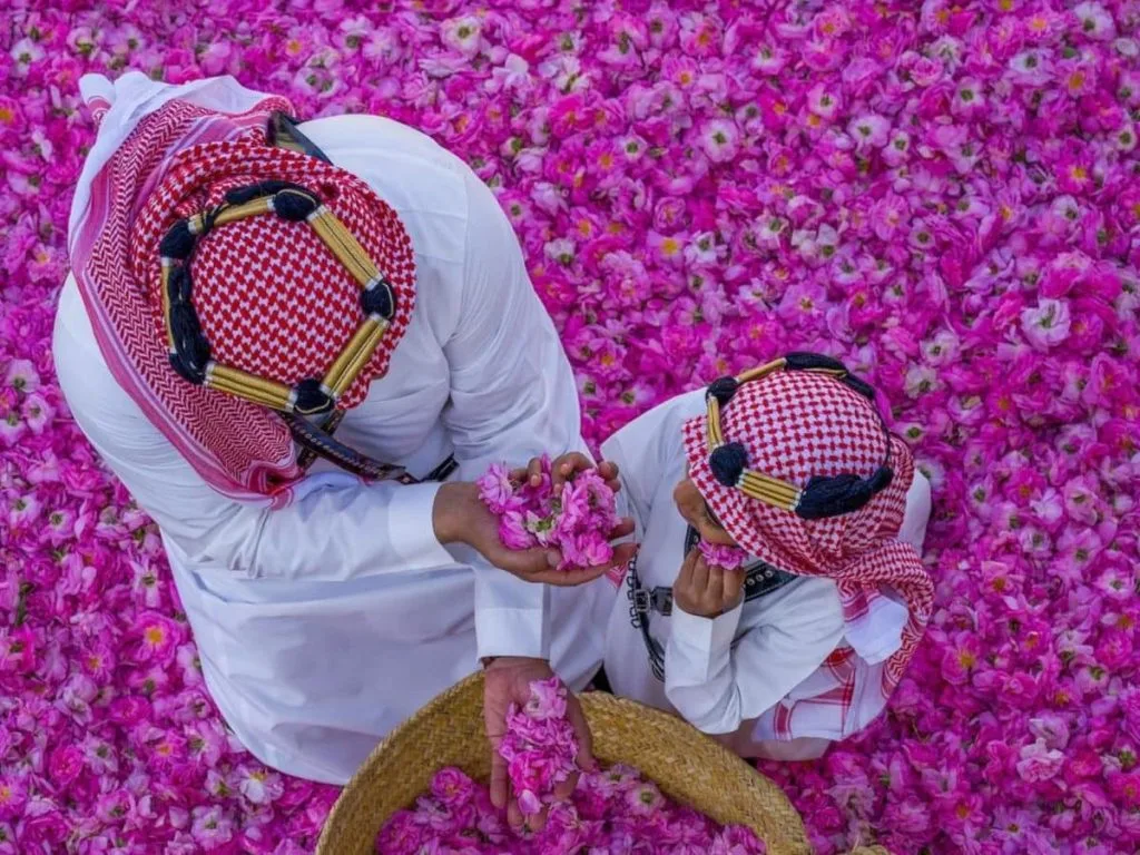 تجارب لا تُنسى يجب عليك تجربتها في الطائف - صورة 5
