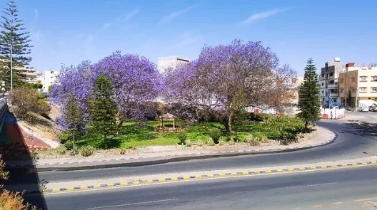 تعرف على أفضل 4 منتجعات جبلية في السعودية - صورة 4