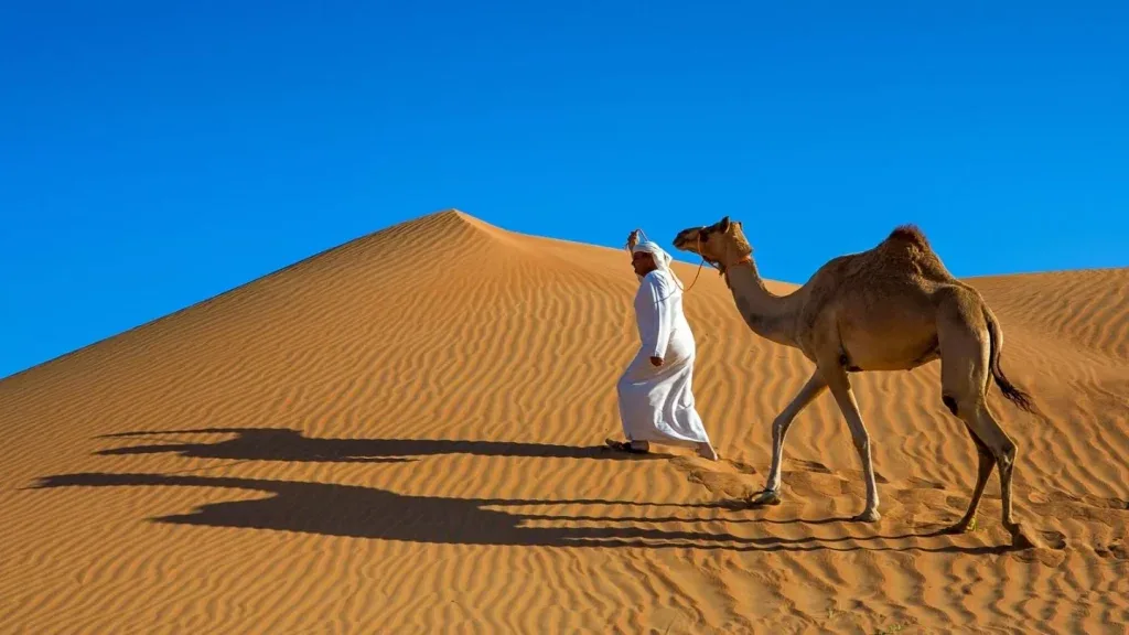 أفضل 6 أشياء يمكنك القيام بها في المملكة العربية السعودية - صورة 4
