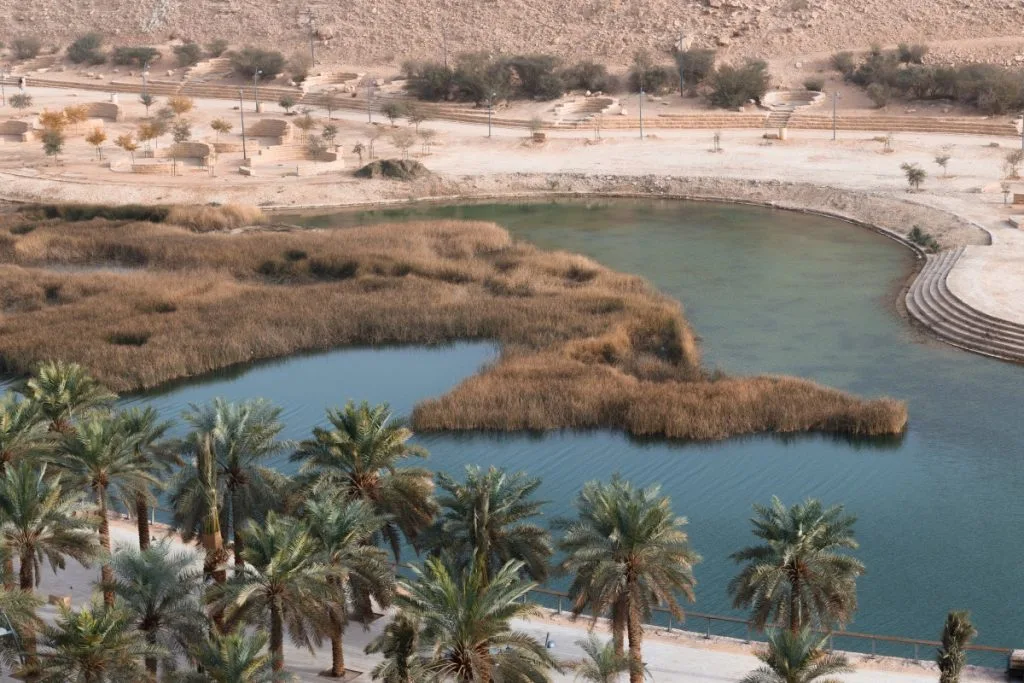 أبرز 7 أنشطة مجانية يمكنك الاستمتاع بها في الرياض - صورة 5
