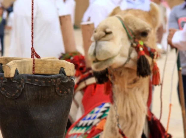 أشهر المعالم السياحية في بريدة - صورة 3