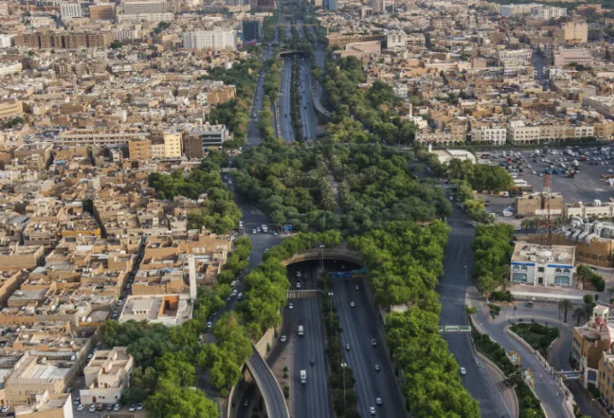 السعودية تزرع ملايين الأشجار منذ 2021