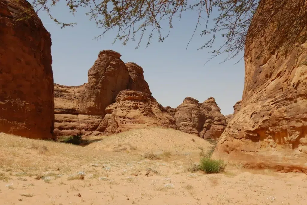 استكشف العلا: 5 أنشطة فريدة يجب تجربتها في 2024
