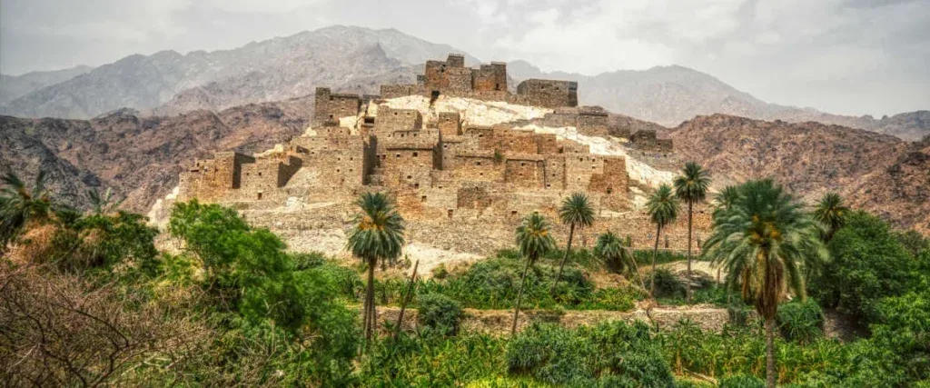 ماهي أفضل الأشياء التي يمكنك القيام بها في الباحة؟