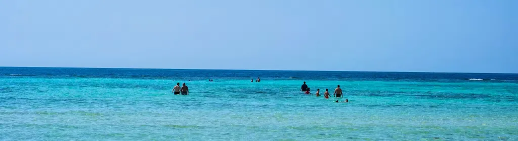 أفضل 5 شواطئ في المملكة العربية السعودية