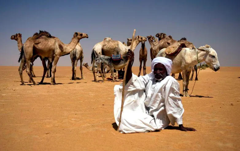 من هي أكبر قبيلة في المملكة العربية السعودية؟