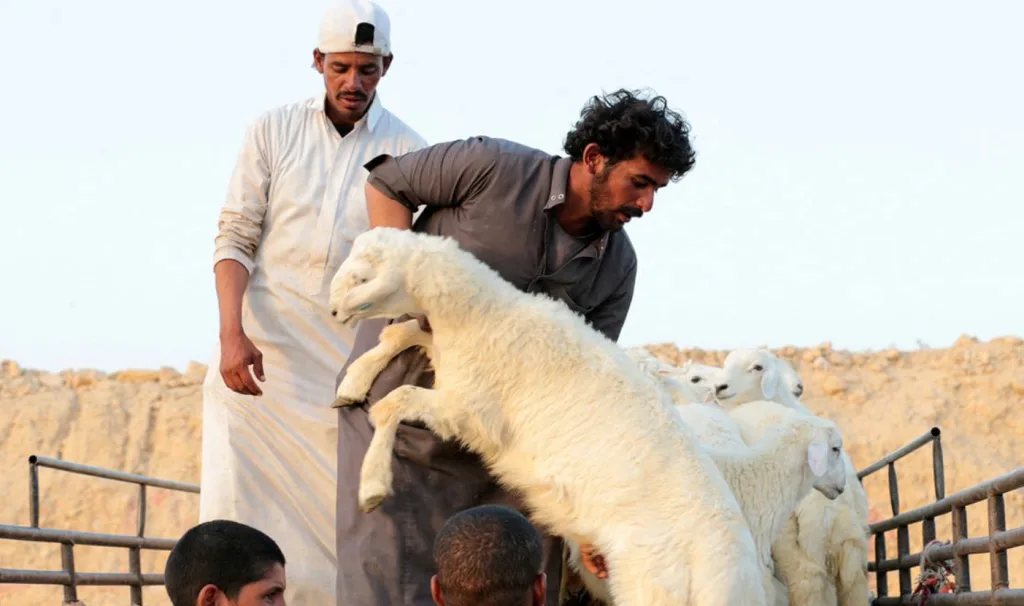 أبرز أنشطة عيد الأضحى 2025 في الرياض