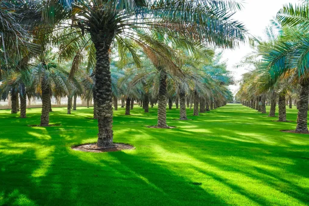 أبرز الأماكن في الرياض 2025