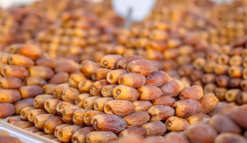أبرز أسواق المدينة المنورة