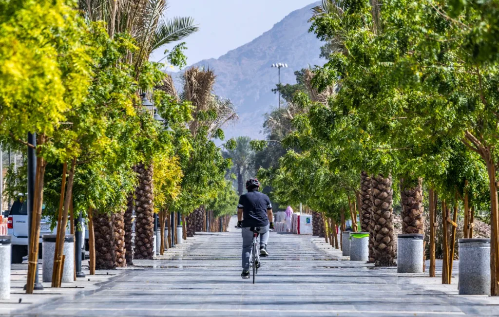 حديقة الردف