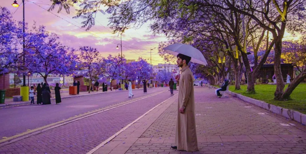 دليل المناطق السياحية في منطقة العسير