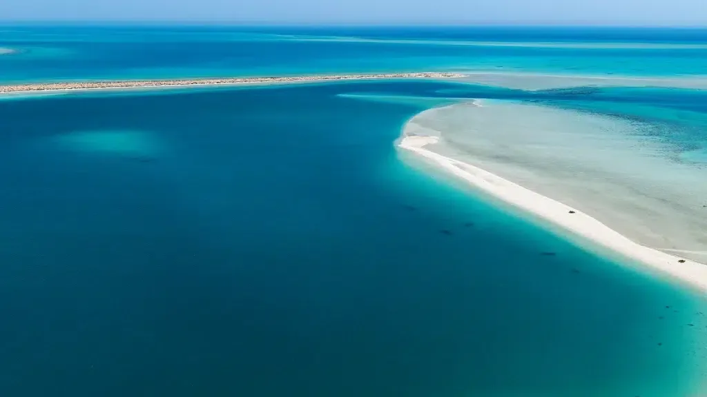 أفضل 5 شواطئ في السعودية لعشاق البحر والاستجمام