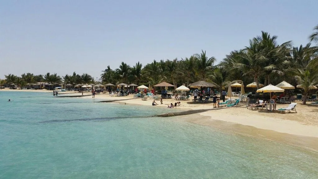 أنشطة في جدة