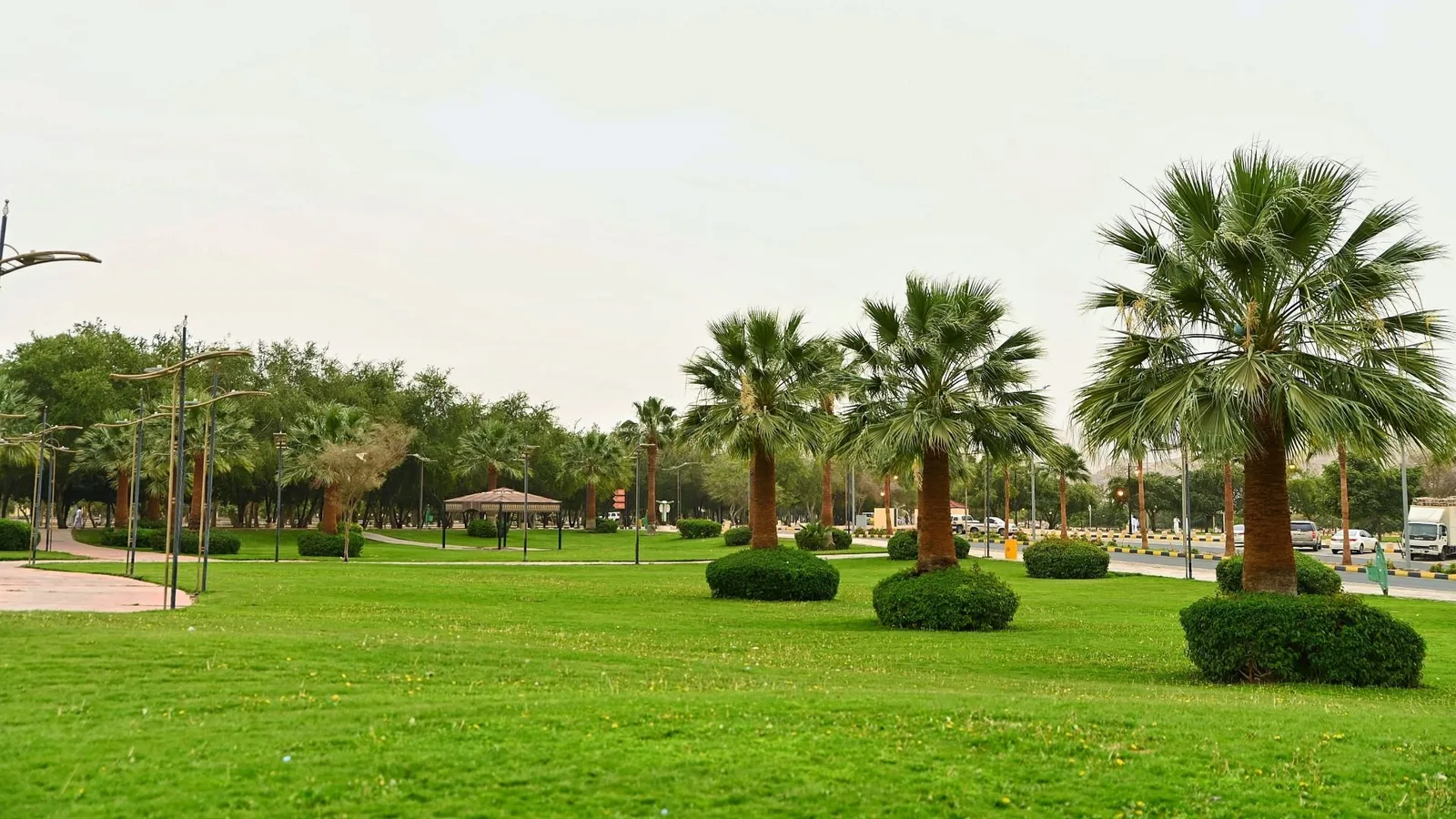 منتزهات المدينة المنورة