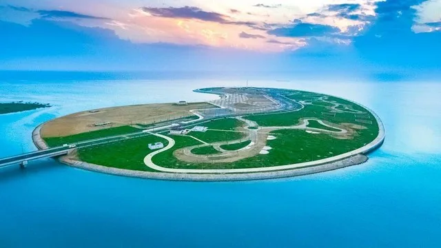 أنشطة في جزيرة النورس ينبع