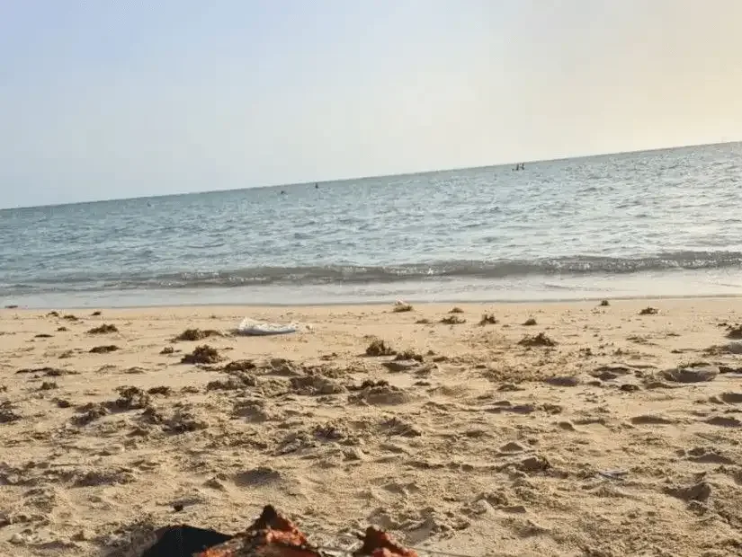 أفضل الشواطىء في السعودية 2025