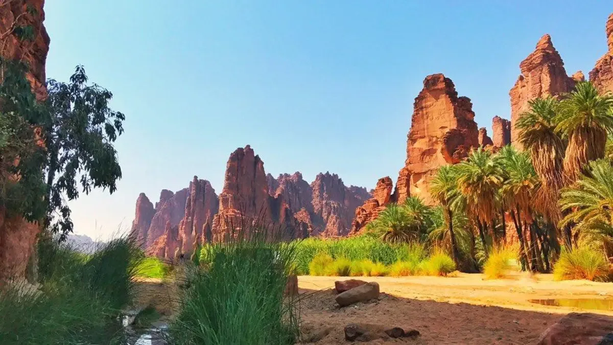 استكشاف أفضل المناطق الخضراء في المملكة العربية السعودية | الرياض الخضراء
