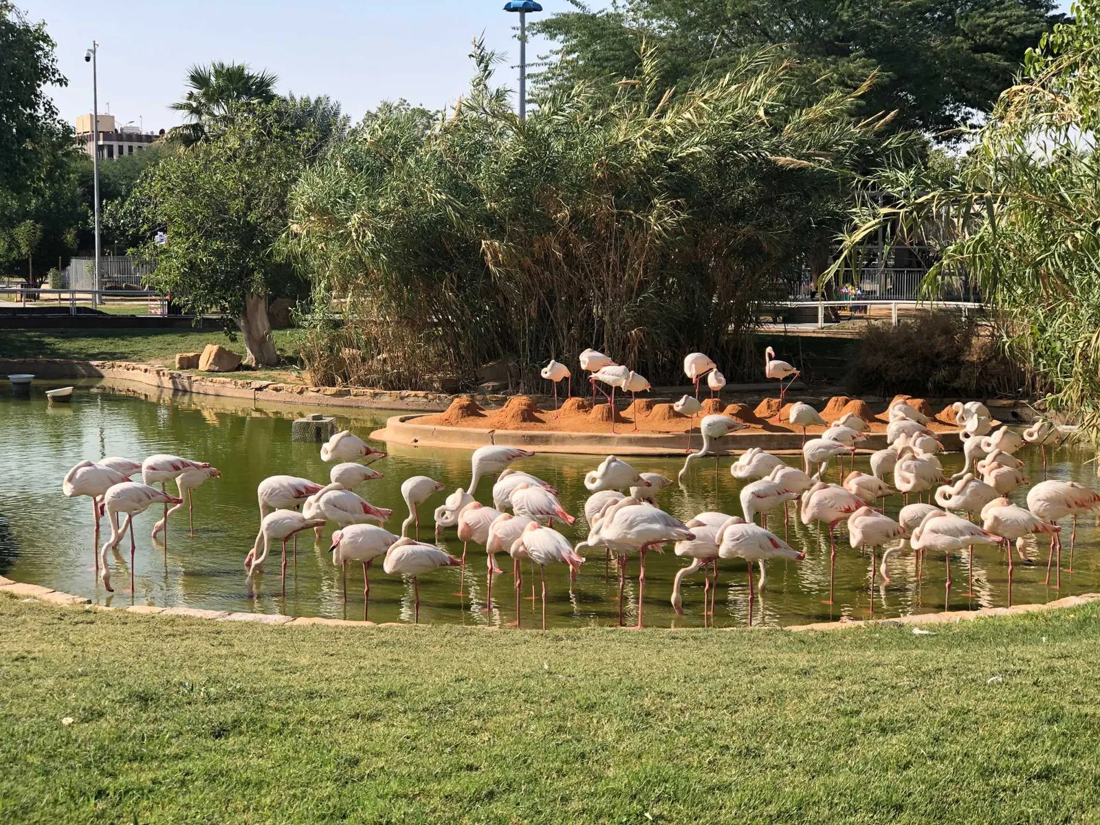 أفضل 8 أماكن سياحية في الرياض - صورة 3