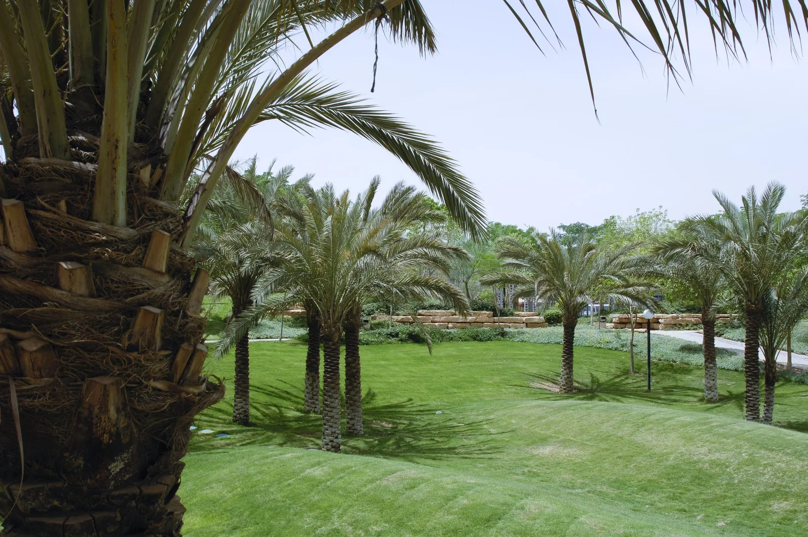 al malqa park riyadh