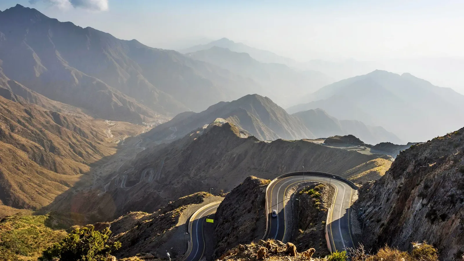 كل ما تود معرفته عن منتزه عسير الوطني في أبها