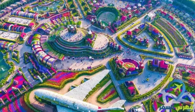 8 أنشطة يمكنك القيام بها في حديقة الورود في الرياض
