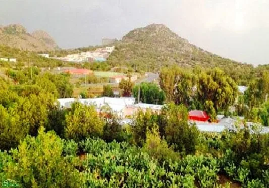 أفضل 5 أنشطة في قرية الشفا بالطائف