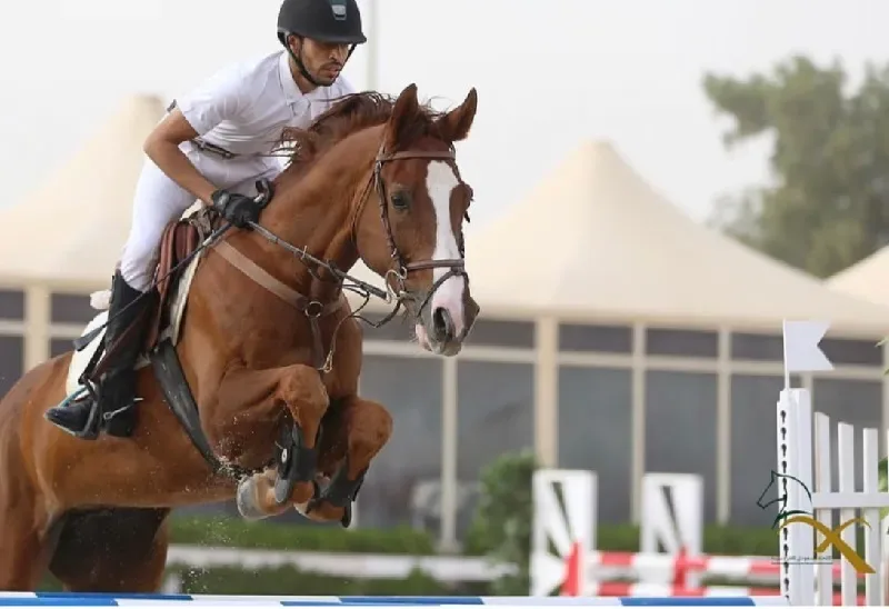 أفضل أماكن ركوب الخيل في الرياض - صورة 2