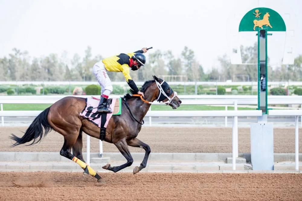 أفضل أماكن ركوب الخيل في الرياض
