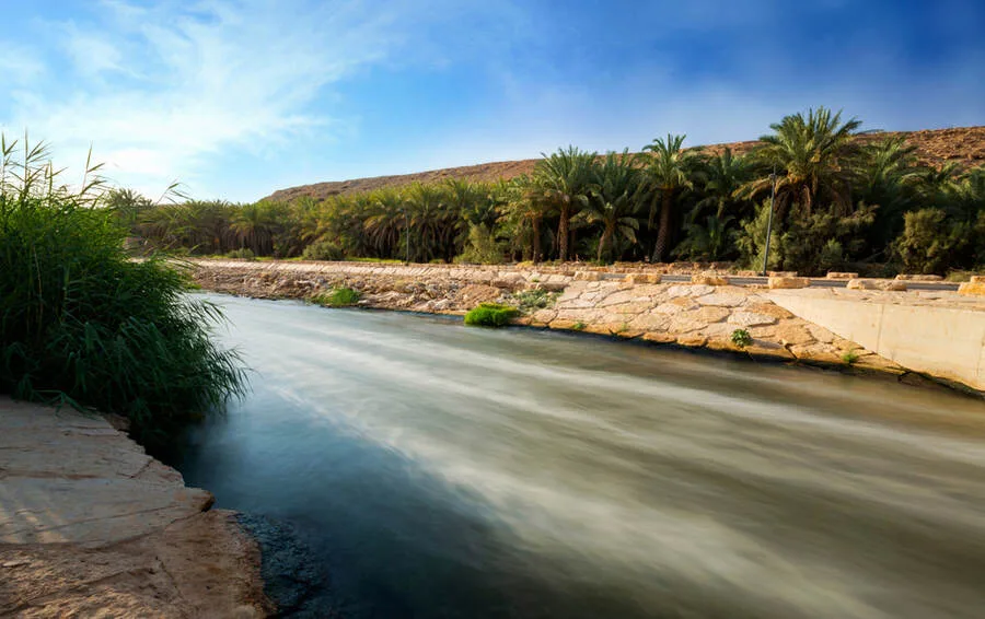 أهم الأنشطة التي يمكن القيام بها في منتزه البحيرات في الرياض - صورة 2