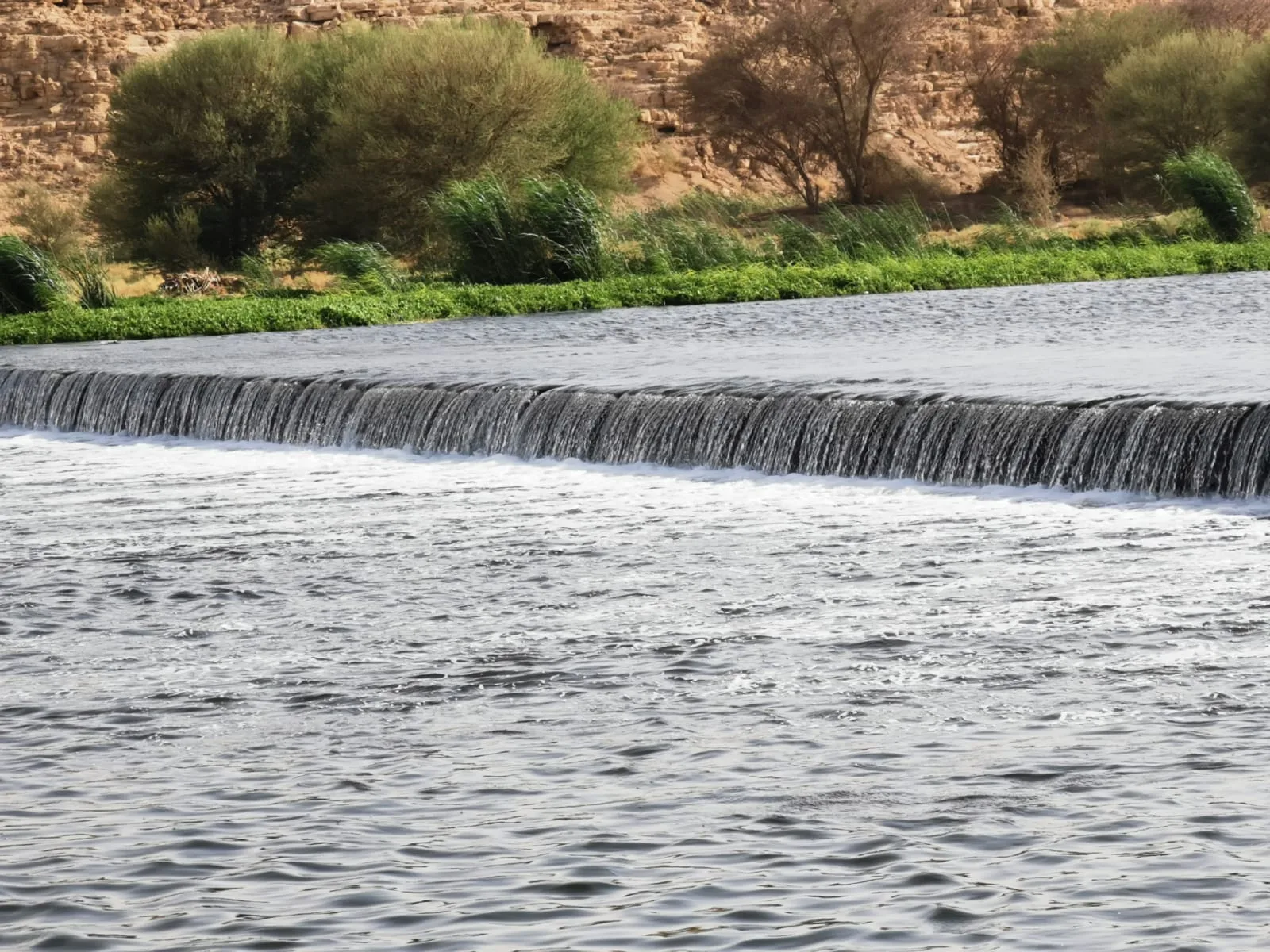 أهم الأنشطة التي يمكن القيام بها في منتزه البحيرات في الرياض - صورة 3