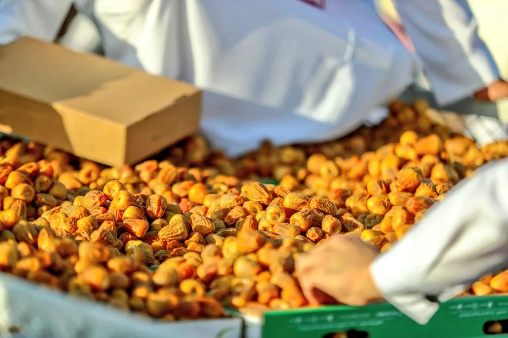 موعد مهرجان بريدة للتمور 2023