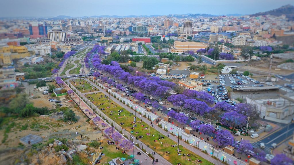 وجهات سياحية في السعودية