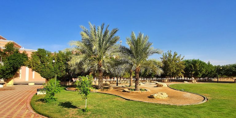 أفضل 7 حدائق عامة في الرياض لمحبي الطبيعة