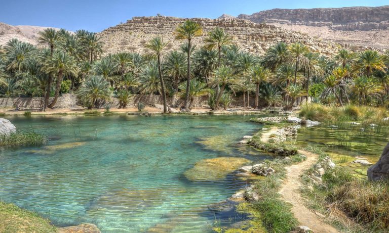 أفضل 5 واحات طبيعية في المملكة للراحة والاستجمام
