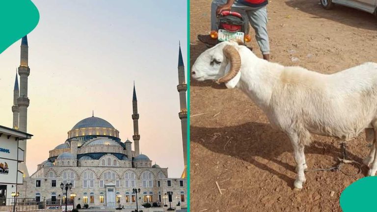 عيد الأضحى 2026 في السعودية: عادات وتقاليد الإجازة الكبرى